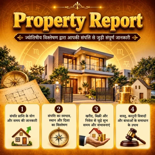 Property Report