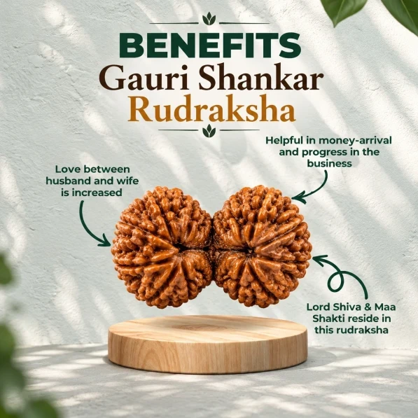 Gauri Shankar Rudraksha