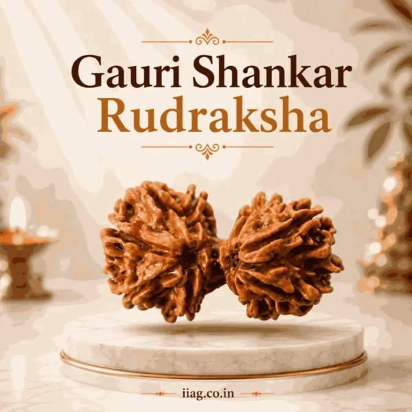 Gauri Shankar Rudraksha