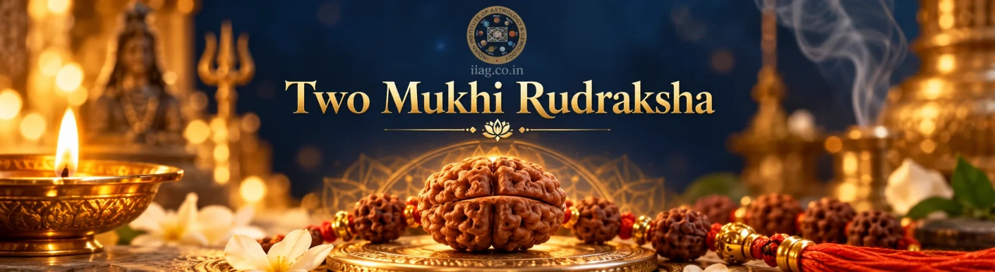 How to Identify an Original Two Mukhi Rudraksha