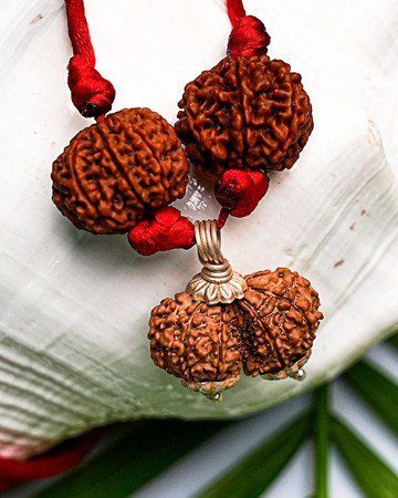 Rudraksh Selection
